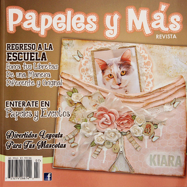 revista
